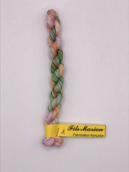 Fils Marion n°5 Camélia 1